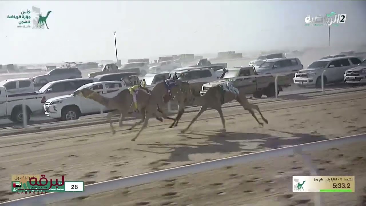 ش3 الصايلة لـ خليفة سعود العنزي ( كأس وزارة الرياضة للهجن 2-12-2024م) كأس اللقايا بكار عام 7:28:27