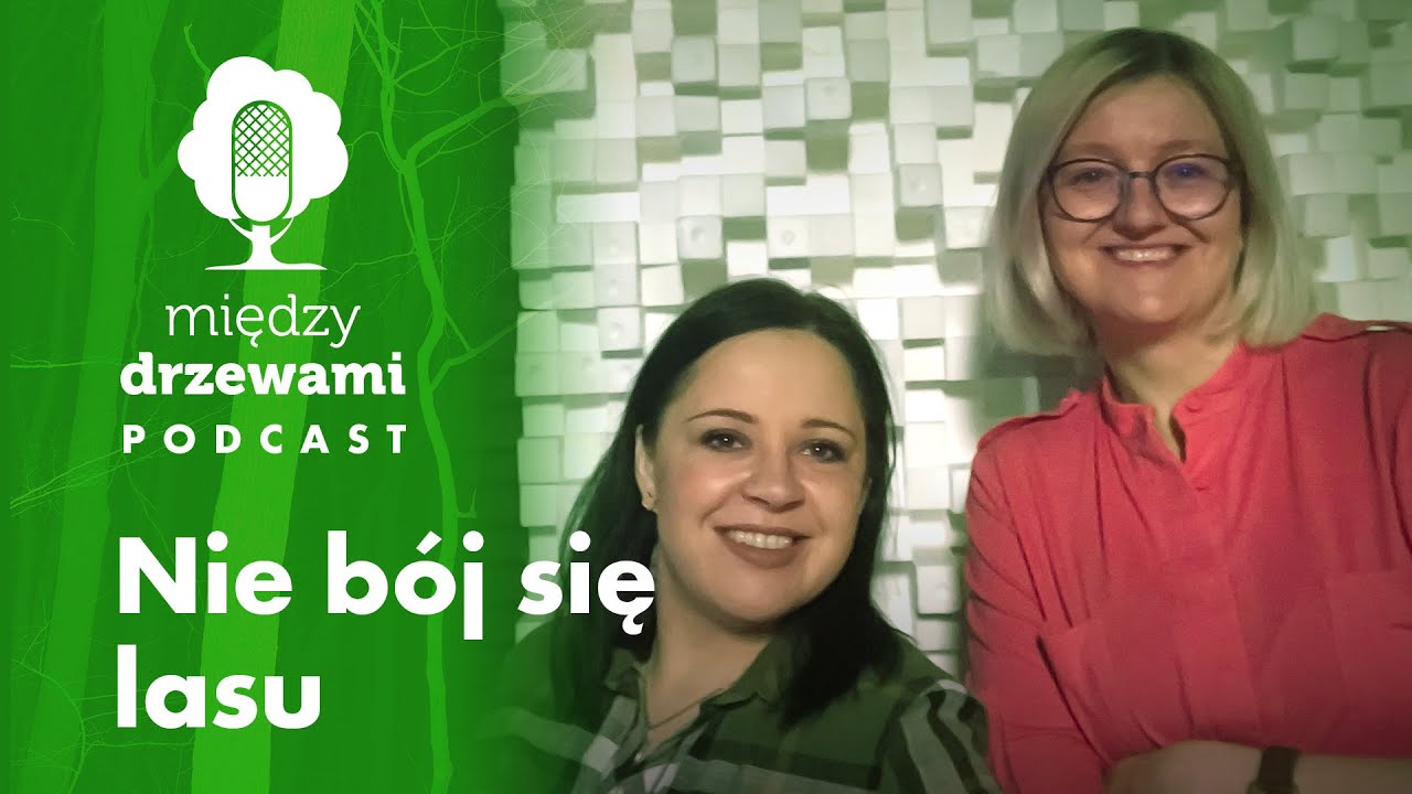 Między Drzewami #18 Nie bój się lasu [gość: Anna Pikus, DGLP] | PODCAST