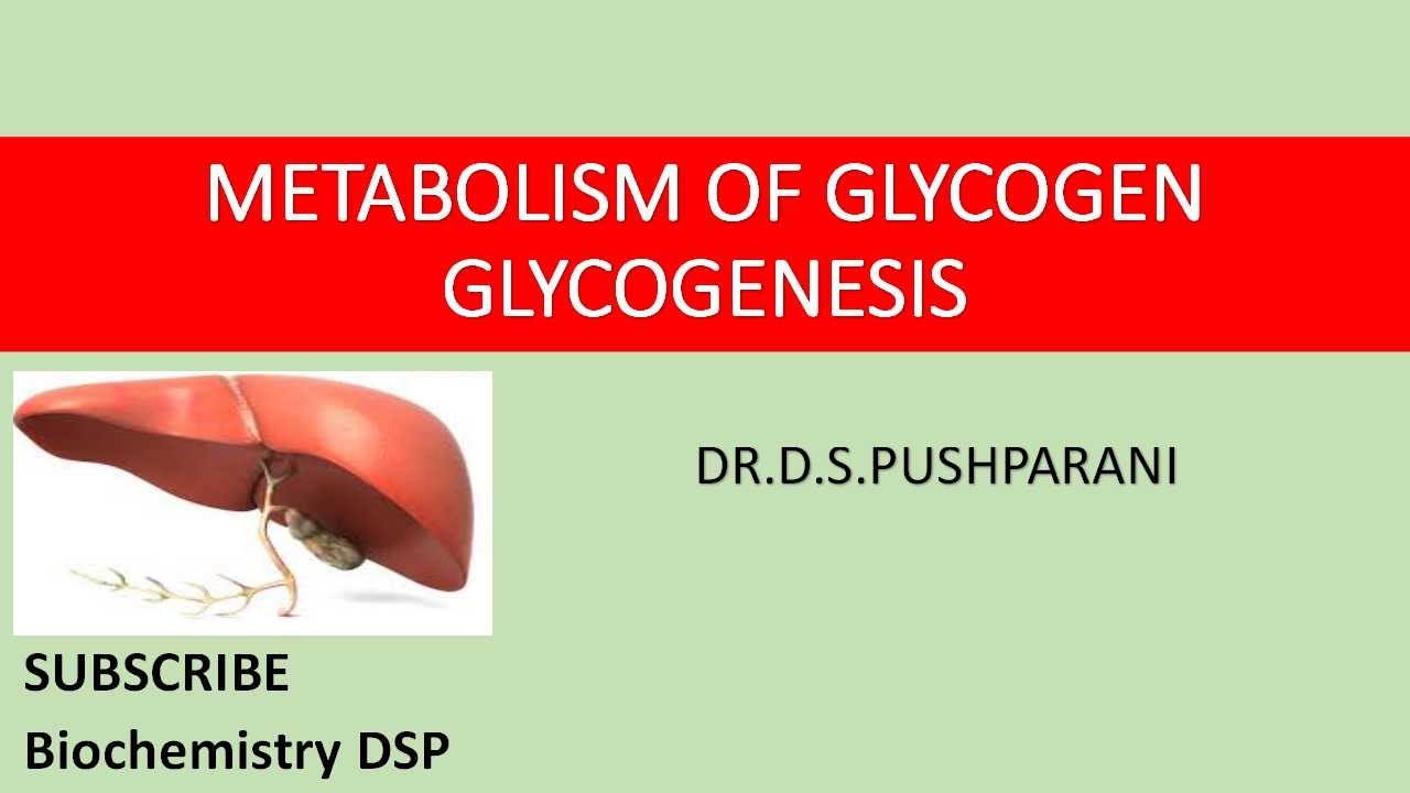 Glycogenesis| Glycogen Metabolism|Carbohydrate Metabolism|Biochemistry| Regulation| #BiochemistryDSP