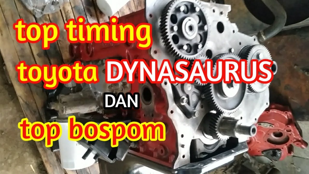 Top timing dan top bospom toyota dynasaurus