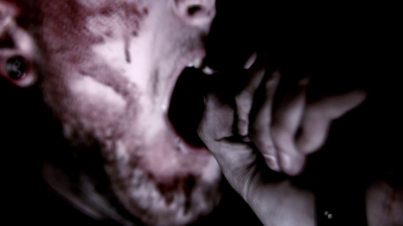 Feeding The Insanity - Discrete (Official Music Video)