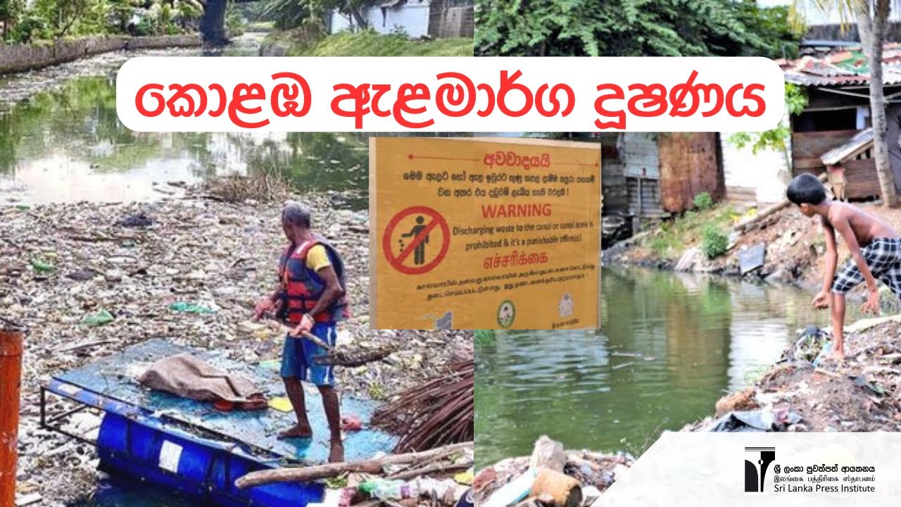 කොළඹ ඇලමාර්ග දූෂණය, පාරිසරික තර්ජන සහ ප්‍රතිවිපාක