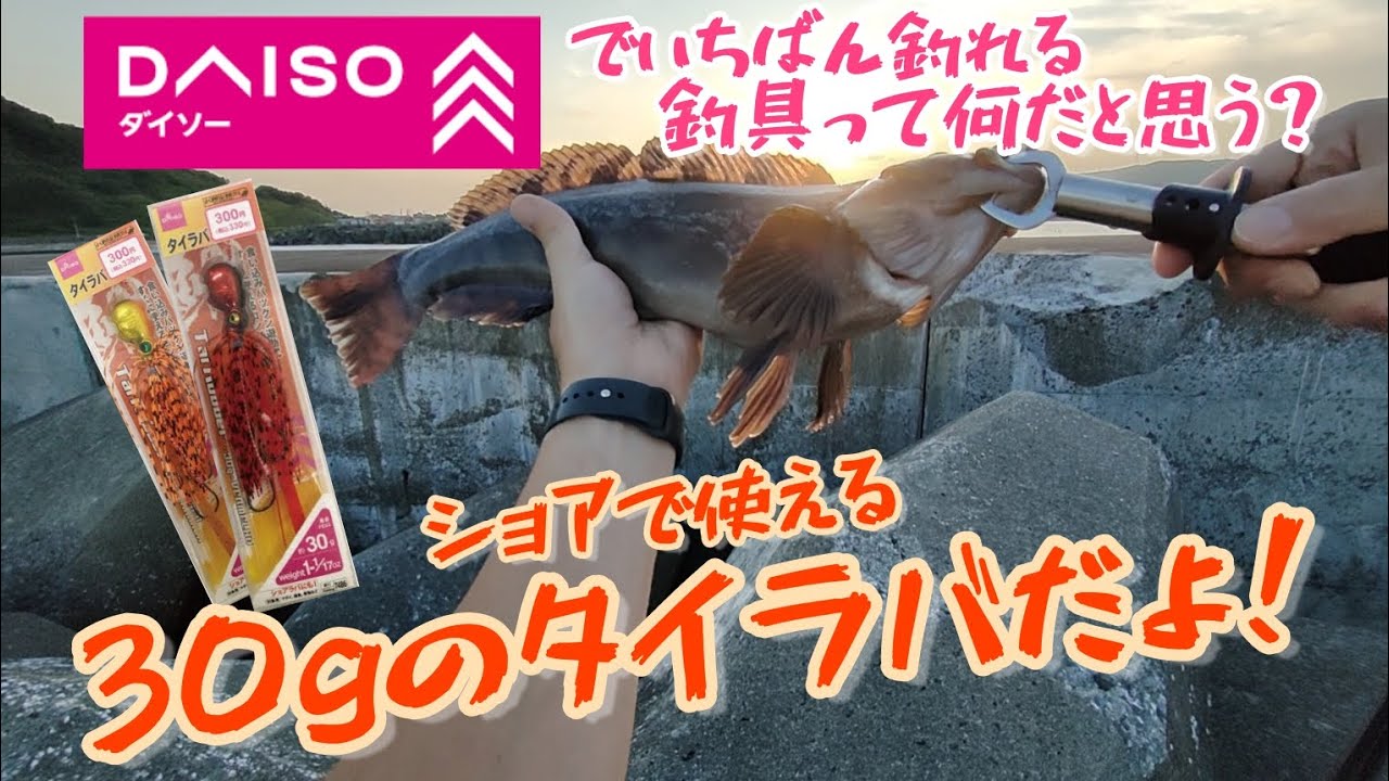 北海道 DAISOの釣具で1番釣れるのは何だと思う？30gのタイラバだよ！