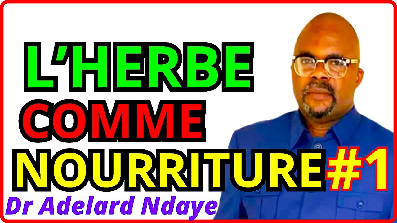 L'HERBE COMME NOURRITURE (#1) Dr Adelard Ndaye