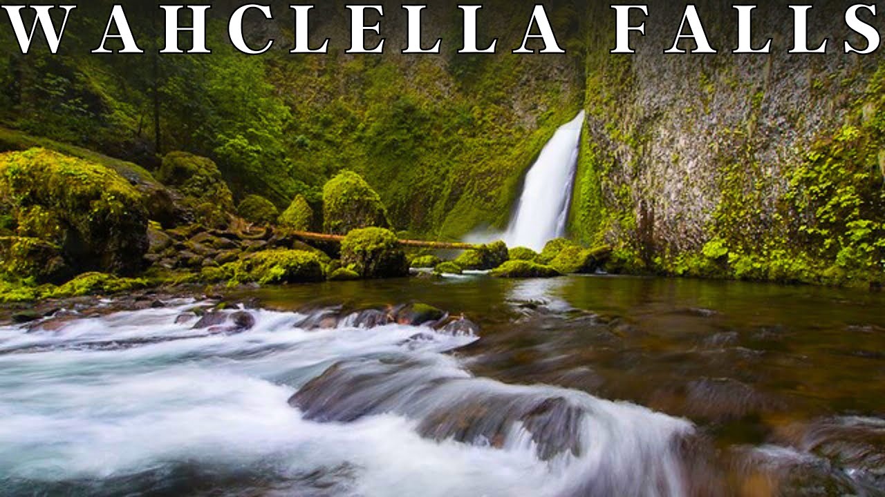 Wahclella Falls Trail | Columbia River Gorge | Oregon | April 2023