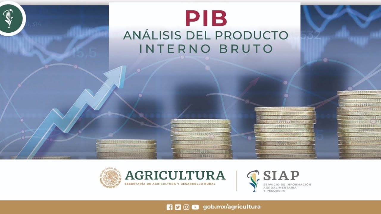 AN&Aacute;LISIS DEL PIB AGROALIMENTARIO