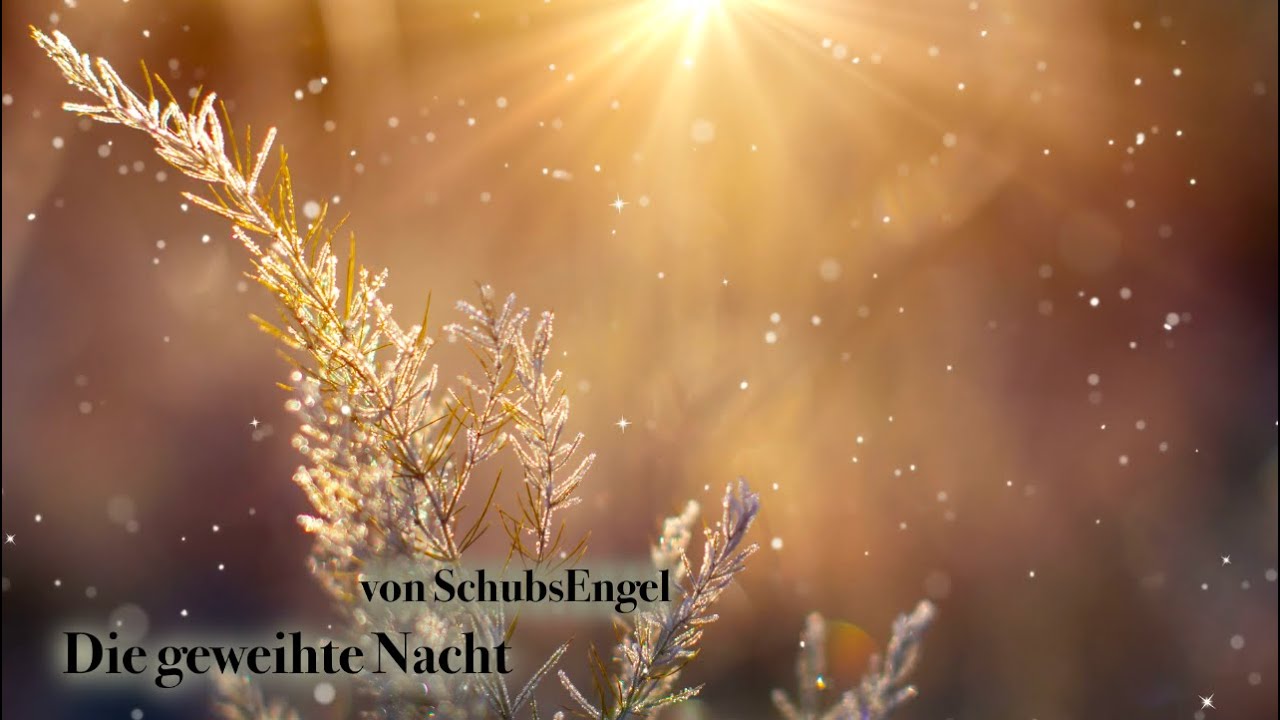 Die geweihte Nacht