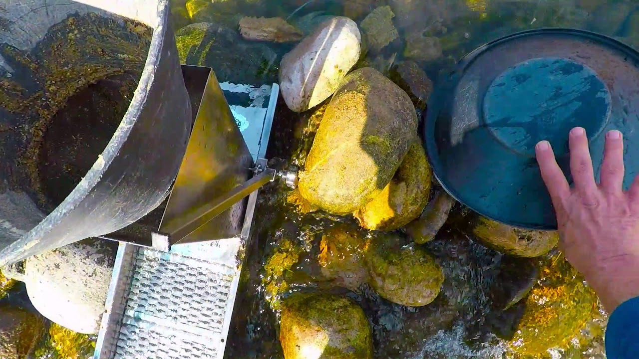 Torrente Elvo raccolta oro con waterbeetle  tranformer e Dragonfly