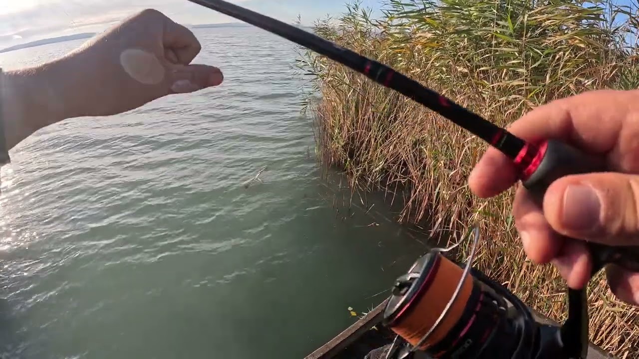 Fishing on Lake Balaton part 1 // Horgászat a balatonon 1.rész / 4K/