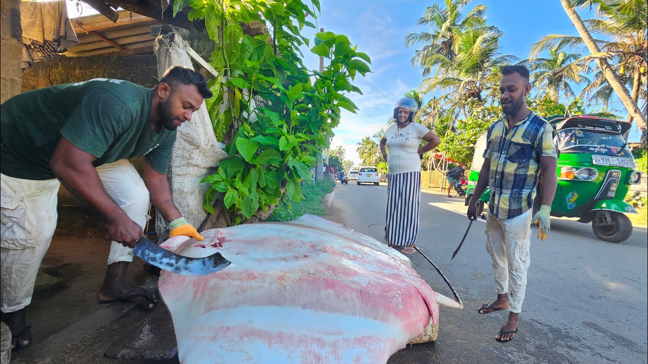 Amazing Live Fish Market Excellent Biggest Sea Fish Master Cutting Skills