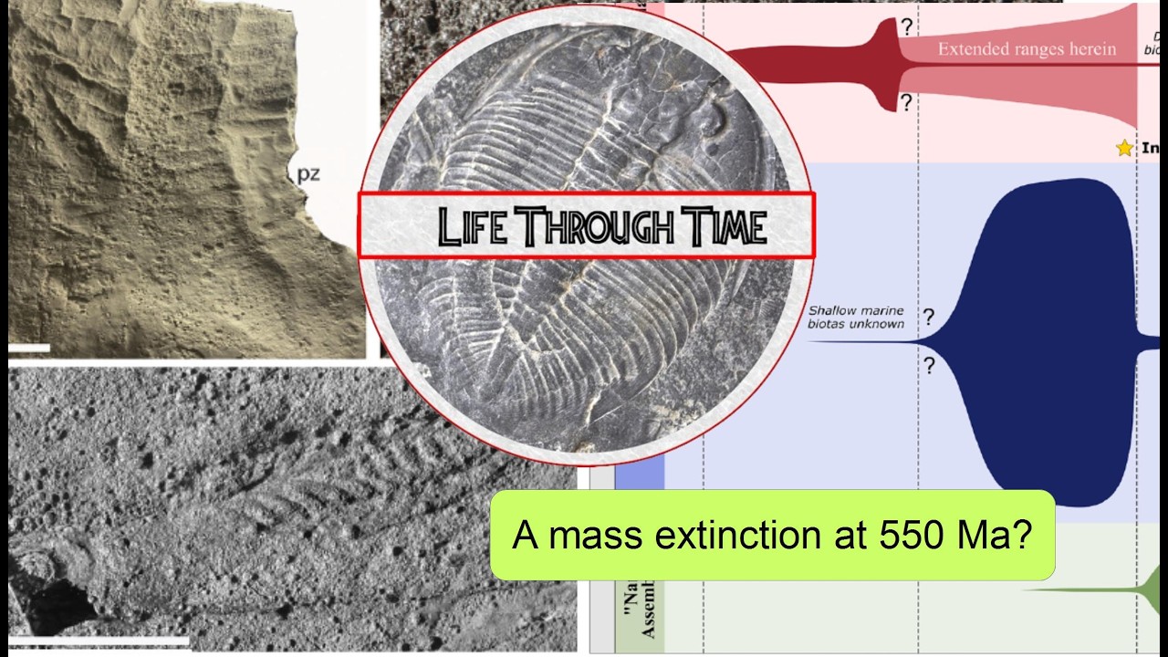 An Ediacaran mass extinction? Inner Meadow and the Kotlin Event