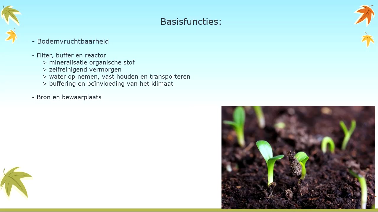 bodemkwaliteit