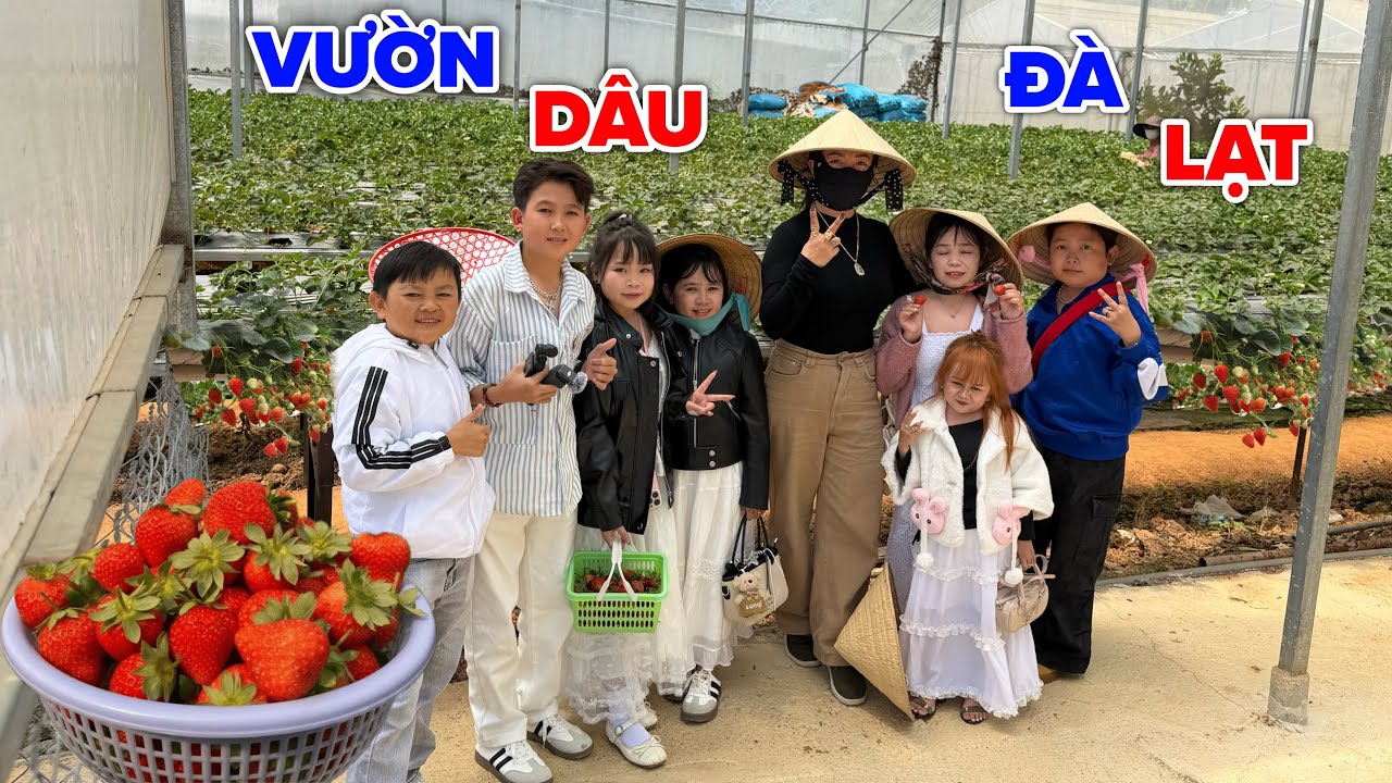 Khung Cảnh Đà Lạt Đẹp Ngỡ Ngàng - Cả Nhóm Hào Hứng Đi Hái Dâu Tây Quá Đã | Đầu Bếp Tí Hon