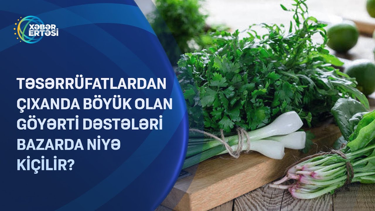 Təsərrüfatlardan çıxanda böyük olan göyərti dəstələri bazarda niyə kiçilir?