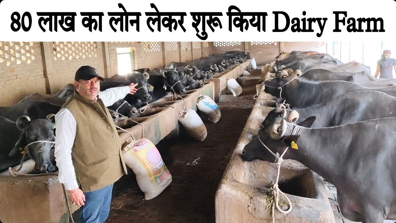 ठेकेदारी छोड़ 80 लाख का लोन लेकर शुरू किया Dairy Farm Business 👌👌