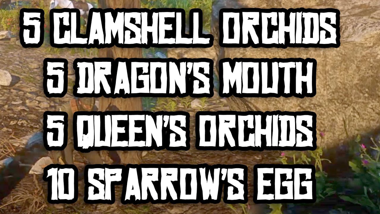 5 Clamshell Orchids, 5 Dragon Mouth, 5 Queen's, 10 Sparrow Eggs LOCATIONS RED DEAD REDEMPTION 2