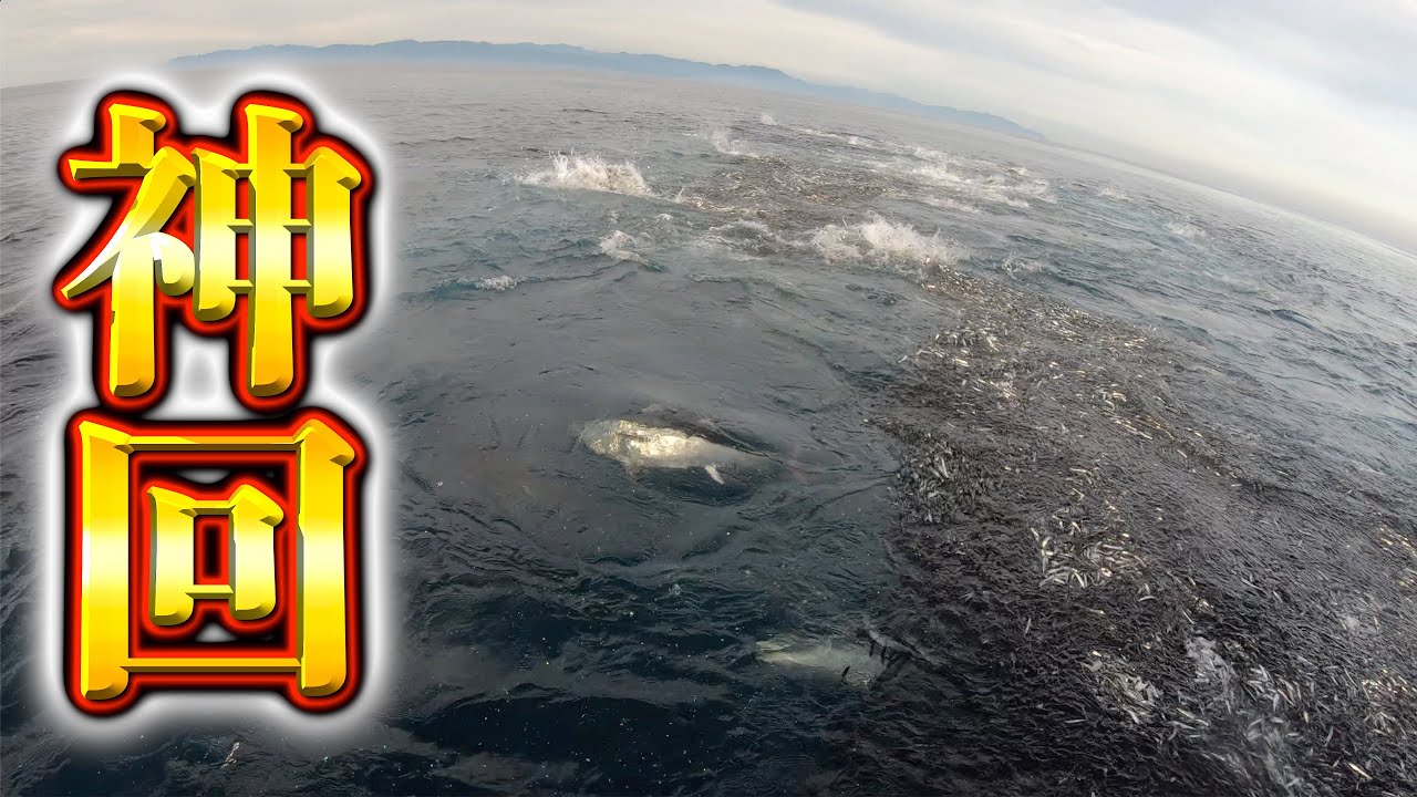 【神回】衝撃!!巨大魚の大群に襲われる!!【激レア水中映像あり!!】　　　　　　　　　　　　　クロマグロ キャスティング