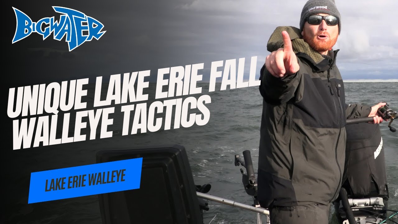 Unique Tactics For Lake Erie Walleye in The Fall