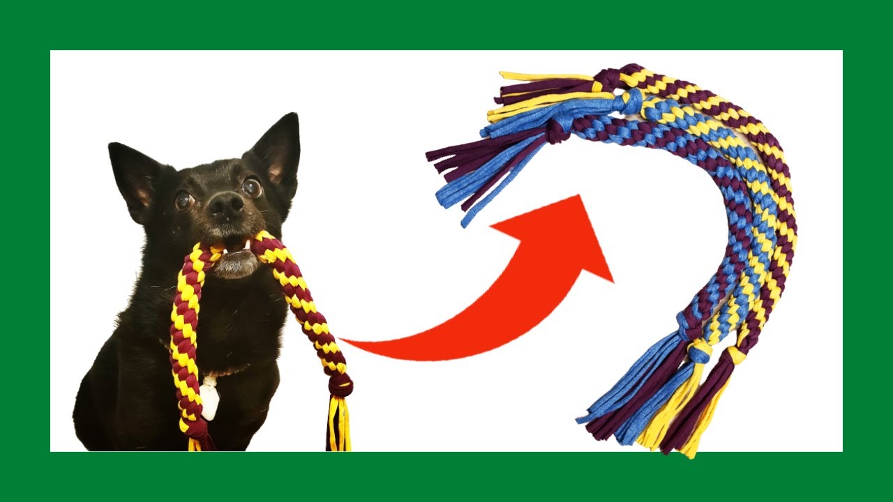 🙆  DIY Cómo Hacer MORDEDORES de TRAPILLO para PERRO 👉 MUY FÁCIL !!✅  Manualidades Mascotas