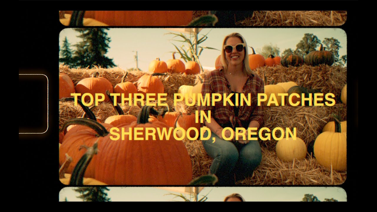 TOP THREE PUMPKIN PATCHES IN SHERWOOD, OREGON