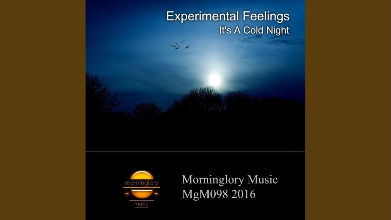 It's A Cold Night (Original Mix)