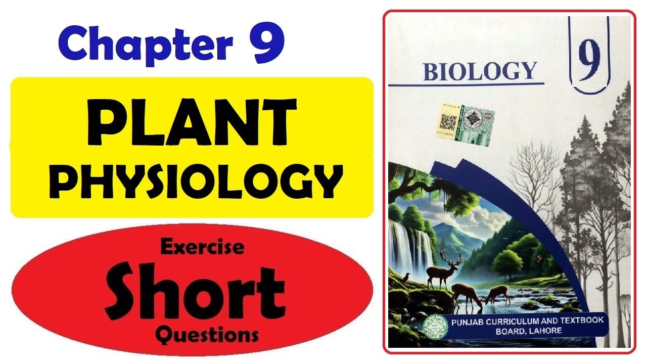 Exercise Short Questions, Chapter 9, Plant Physiology, Class 9 Biology, 9th biology, GS Academy