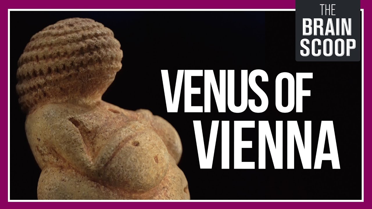 Meeting Vienna's 30,000 year-old woman || Museum Tour