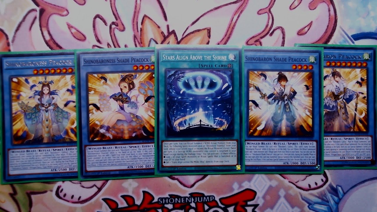 Shinobird Deck Profile June 2025