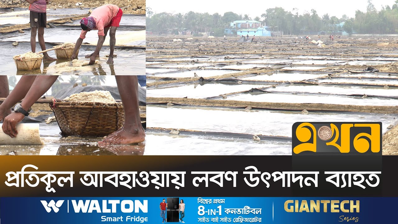 দেশে প্রতিমাসে লবণের চাহিদা ২ লাখ ১০ টন | Salt Business | Ekhon TV