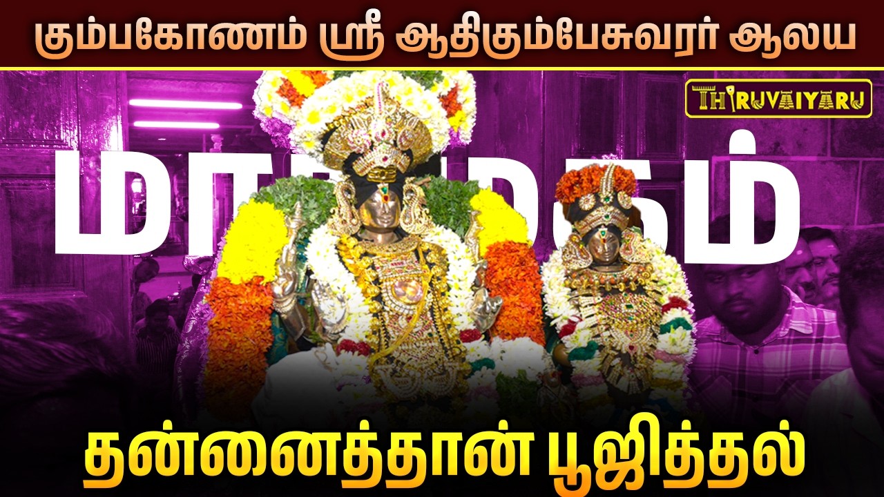 கும்பகோணம் ஸ்ரீ ஆதிகும்பேசுவரர் ஆலய மாசிமகம்  தன்னைத்தான் பூஜித்தல் சிறப்பு தரிசனம்