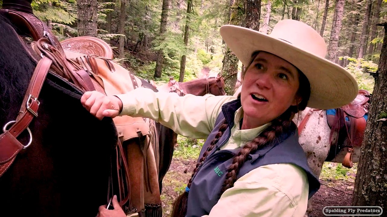Trail Horse Safety And Preparedness With Dr. Jenni Grimmett