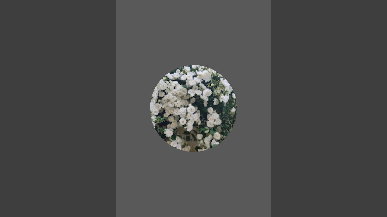 Sanjeda Chowdhury is live!