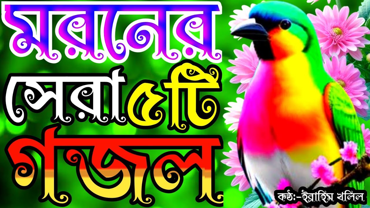 খুব দুঃখের পাগল করা সুরে চমৎকার সেরা ৫টি গজল | gojol | new gojol | new islamic song | bangla gojol