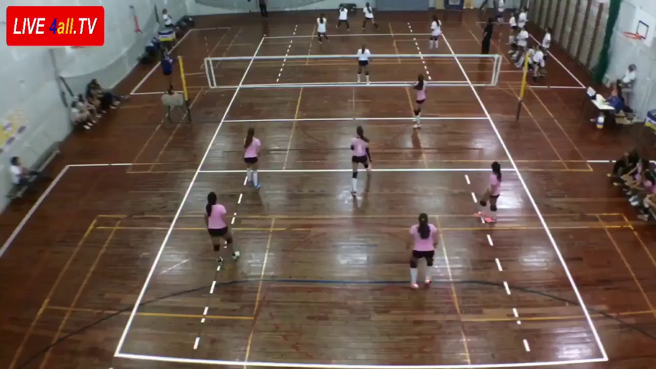 volley4all FLAMINGOS x GDS Cascais