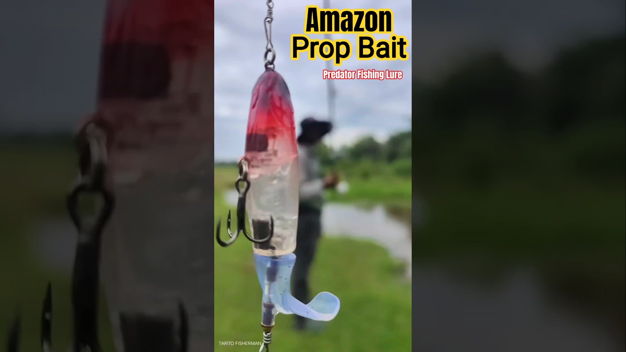 Tarito Village Fishing! Amazon Prop Bait Thrashes Water for Snakehead ⚡🐟