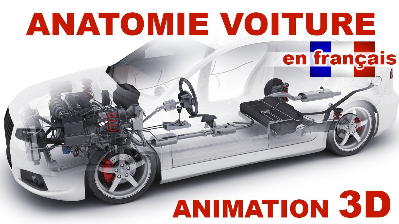 Comment fonctionne une voiture ? Les bases de l’anatomie automobile (Animation 3D)