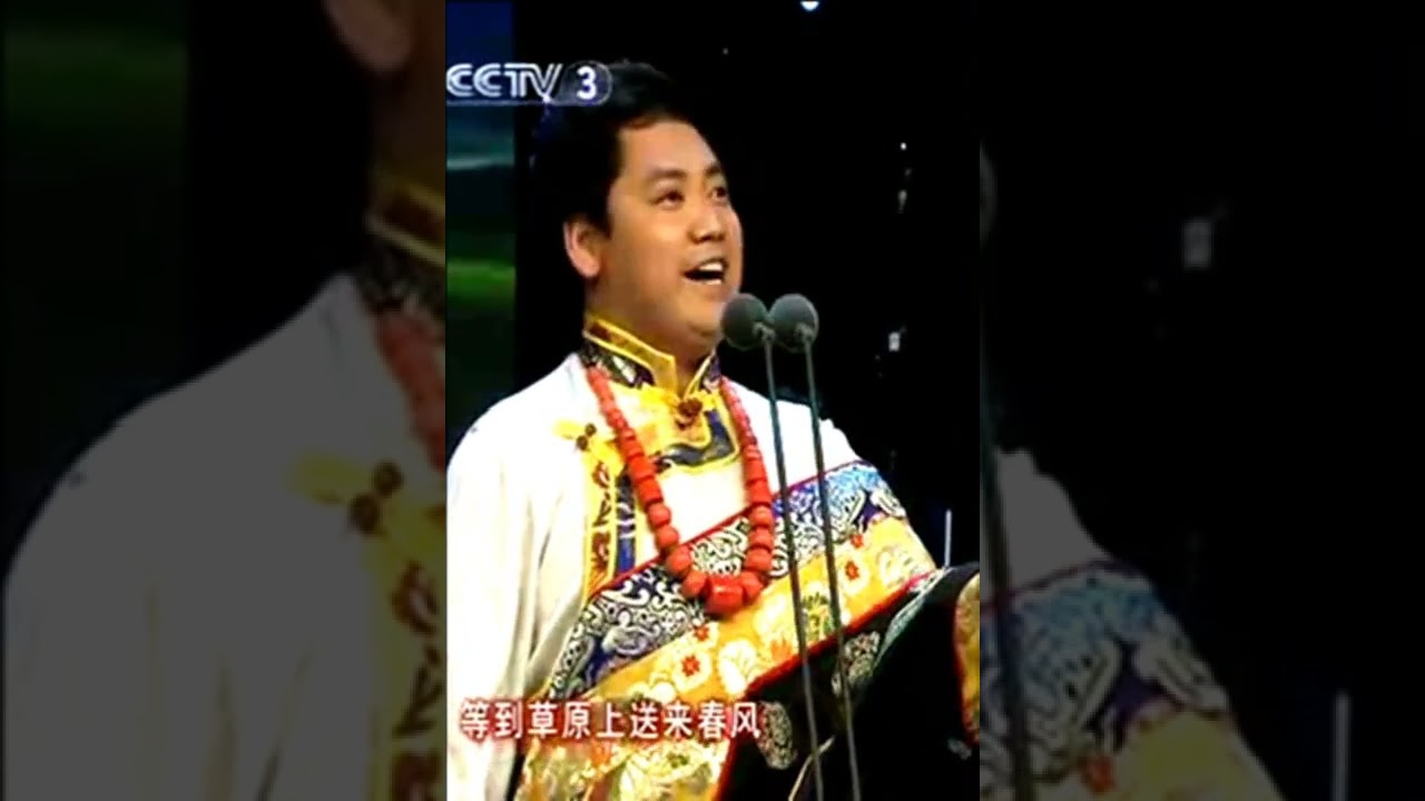 泽旺多吉《草原之夜》