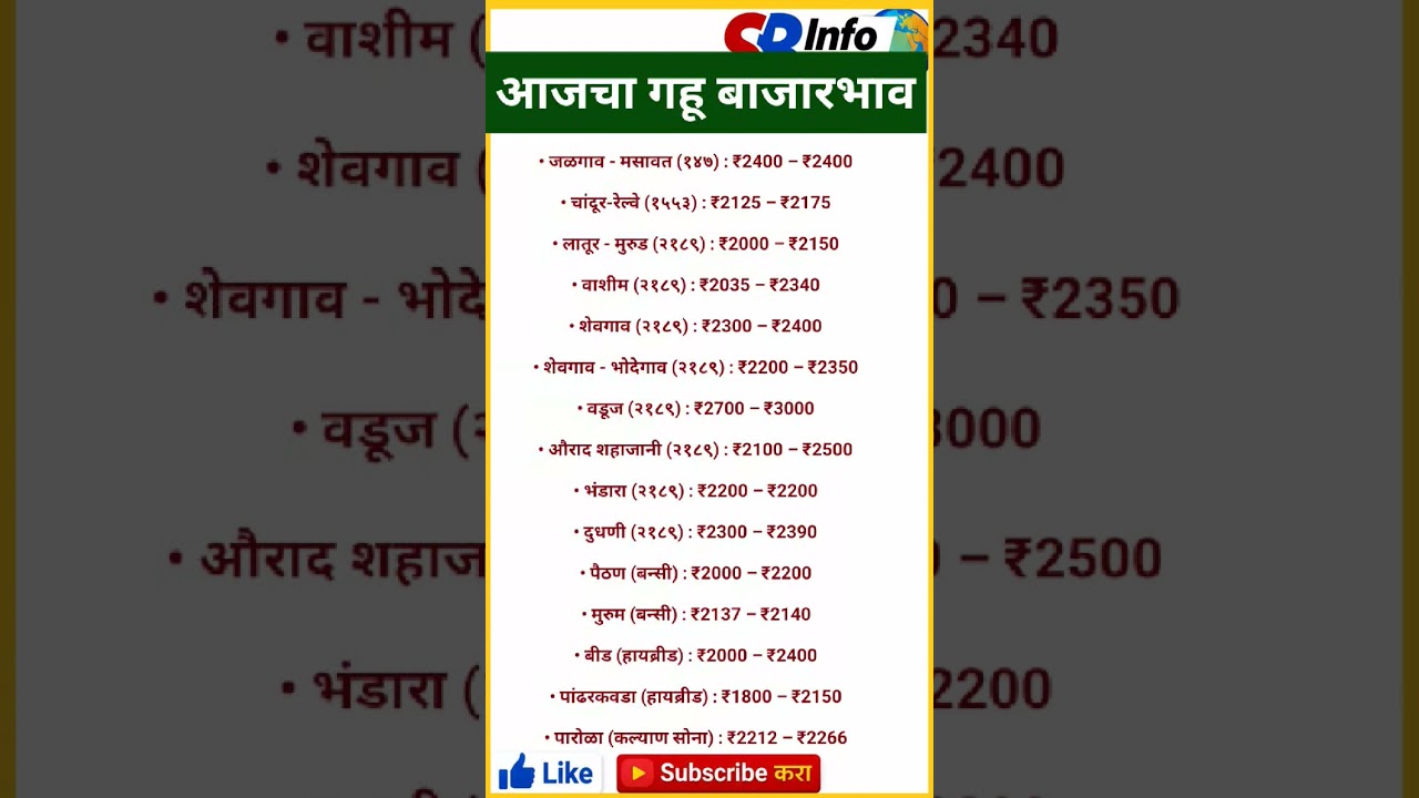 आजचा गहू बाजारभाव 13 जून 2026 | Wheat Rate Today | ताजे मंडी भाव