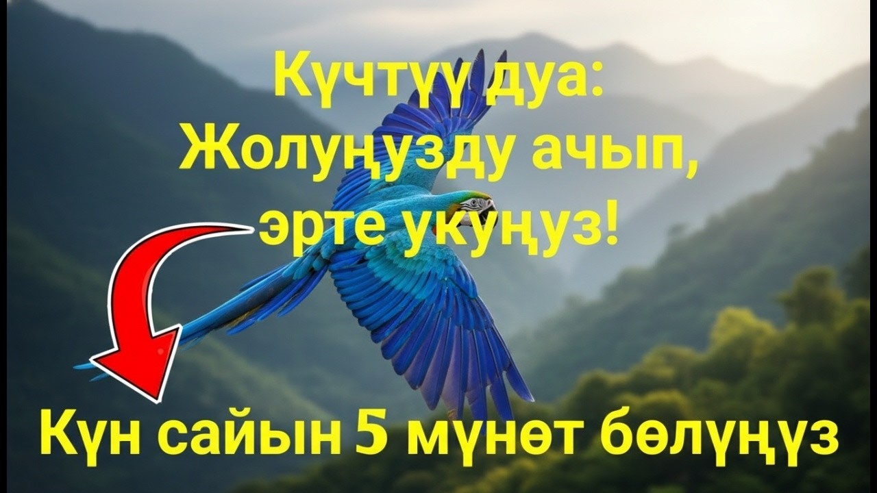 Аль-Вакиа: байлык, береке жана Аллахтын жардамы 🤲