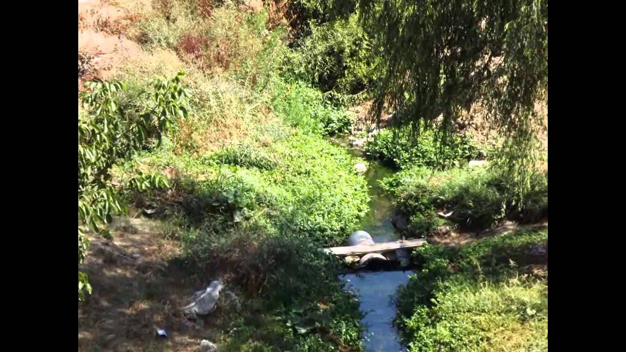 ADANA - AKÇATEKİR YAYLASI ( TEKİR )....1