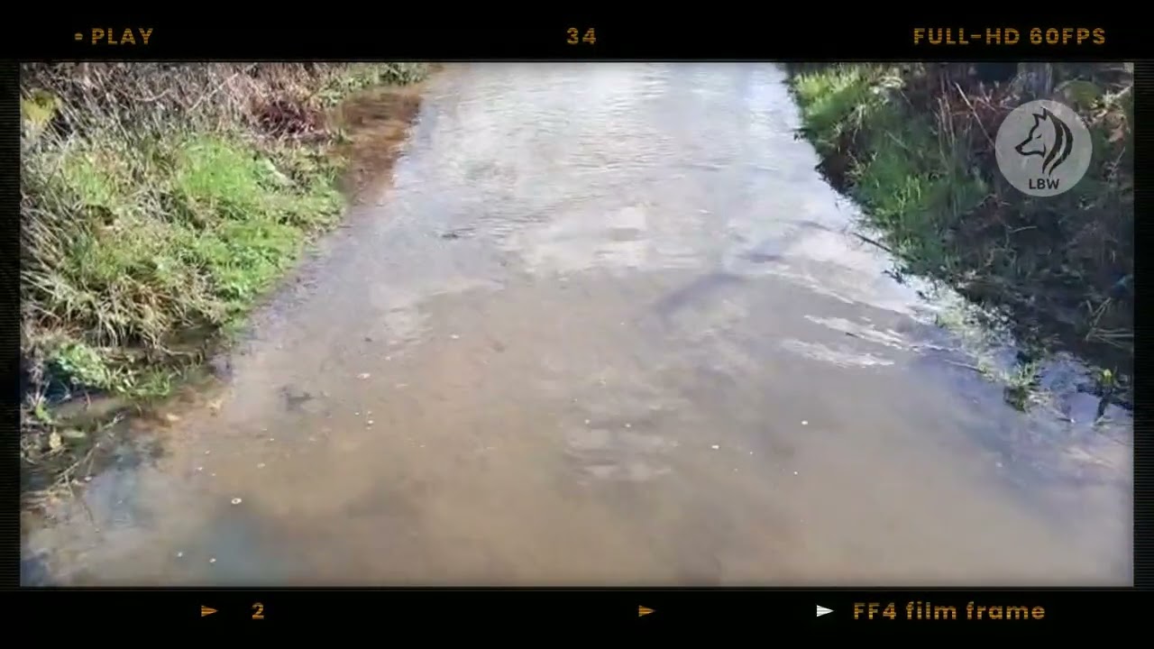 Lameiros das Fontaínhas - Cheias