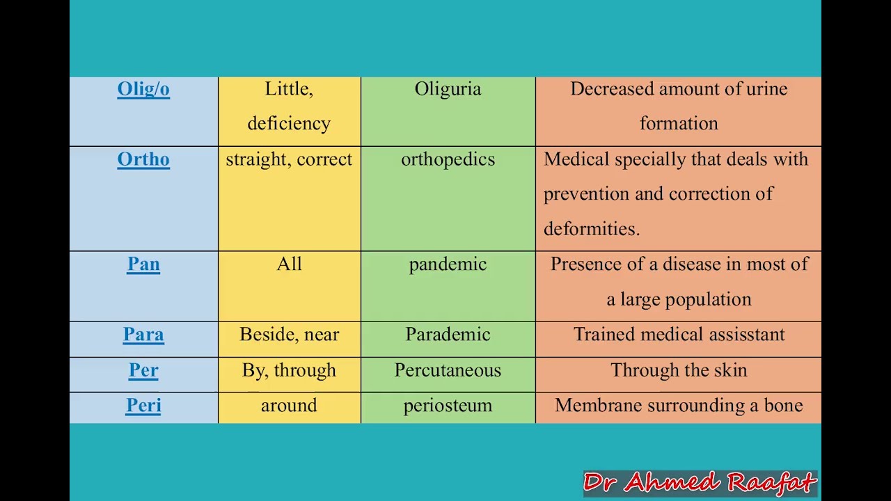 كورس المصطلحات الطبية Medical Terminology 1 Prefix
