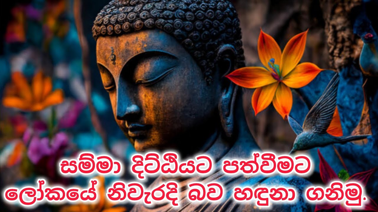 සම්මා දිට්ඨියට පත්වීමට ලෝකයේ නිවැරදි බව හඳුනා ගනිමු🪷 #dharma #sinhala #education #srilanka #budubana