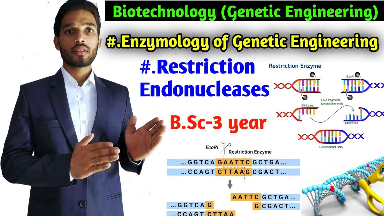 Restriction Endonucleases enzymes || Types and Nomenclature of restriction  enzymes||B.Sc 3 year