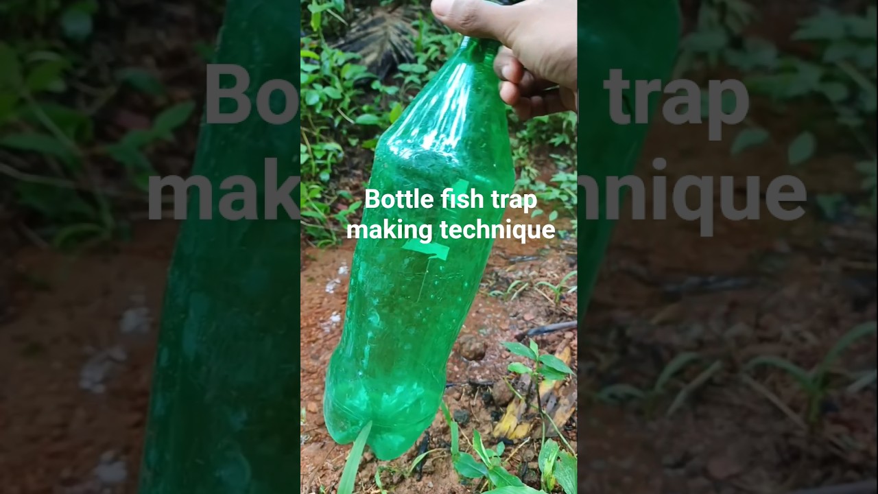bottle trap making technique ||village fishing || River fish ||#fish #bottle