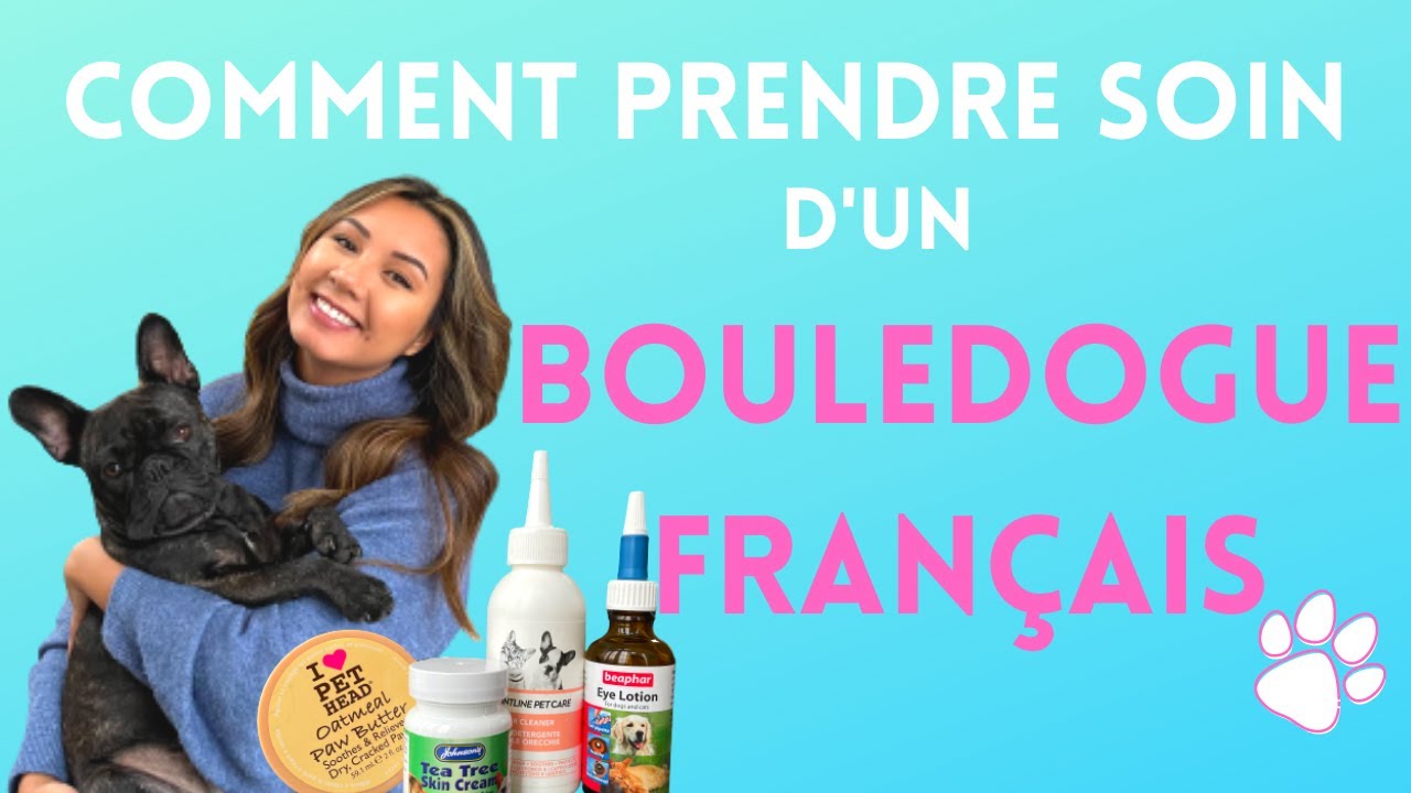 COMMENT PRENDRE SOIN D’UN BOULEDOGUE FRANÇAIS