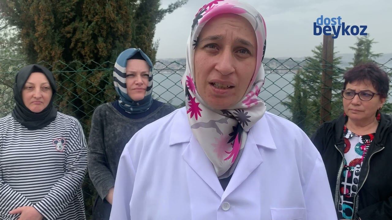 Beykoz Toplum Ruh Sağlığı Merkezi ve detaylar  | Dost Beykoz