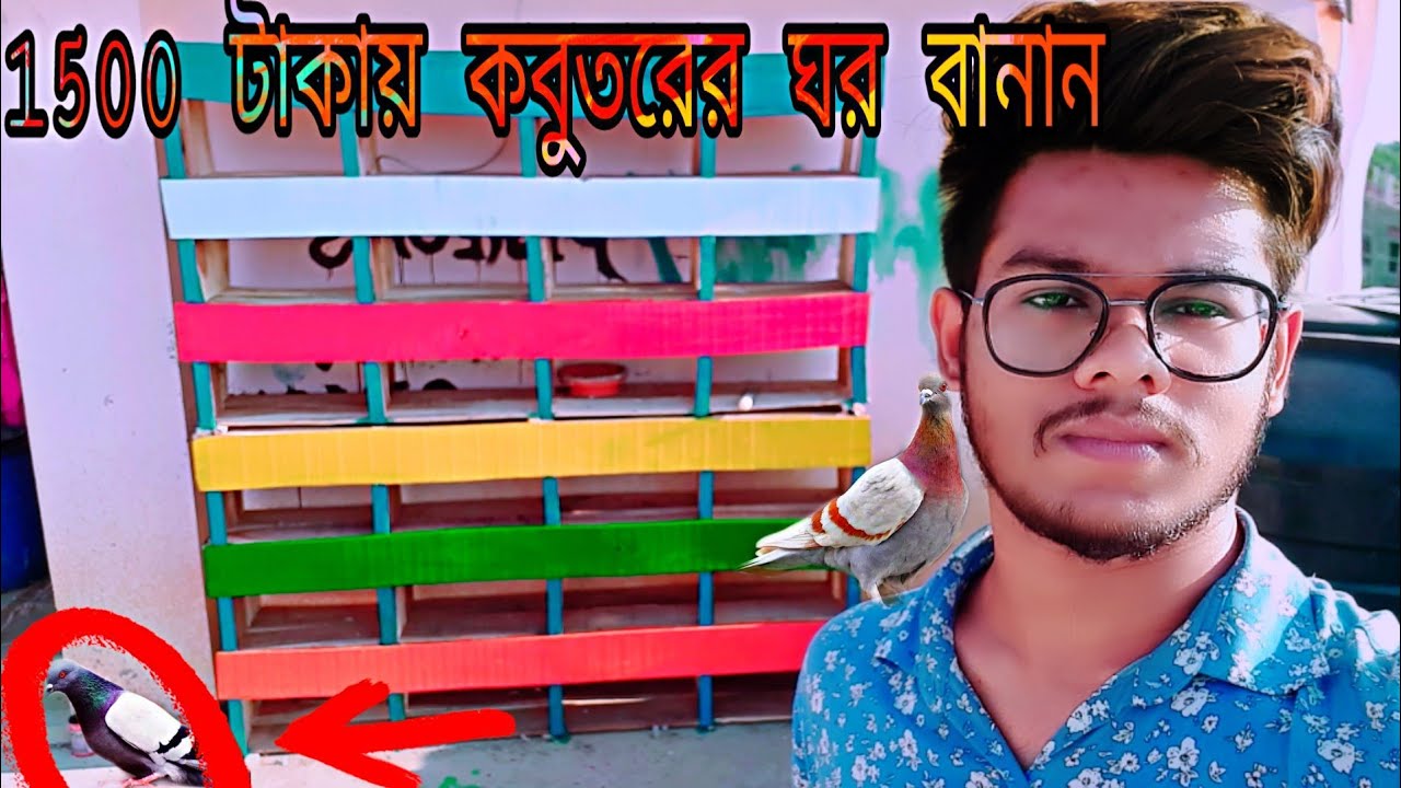 How to make pigeon wooden house in bd - কিভাবে কবুতরের ঘর বানাবেন - build pigeons loft with timber