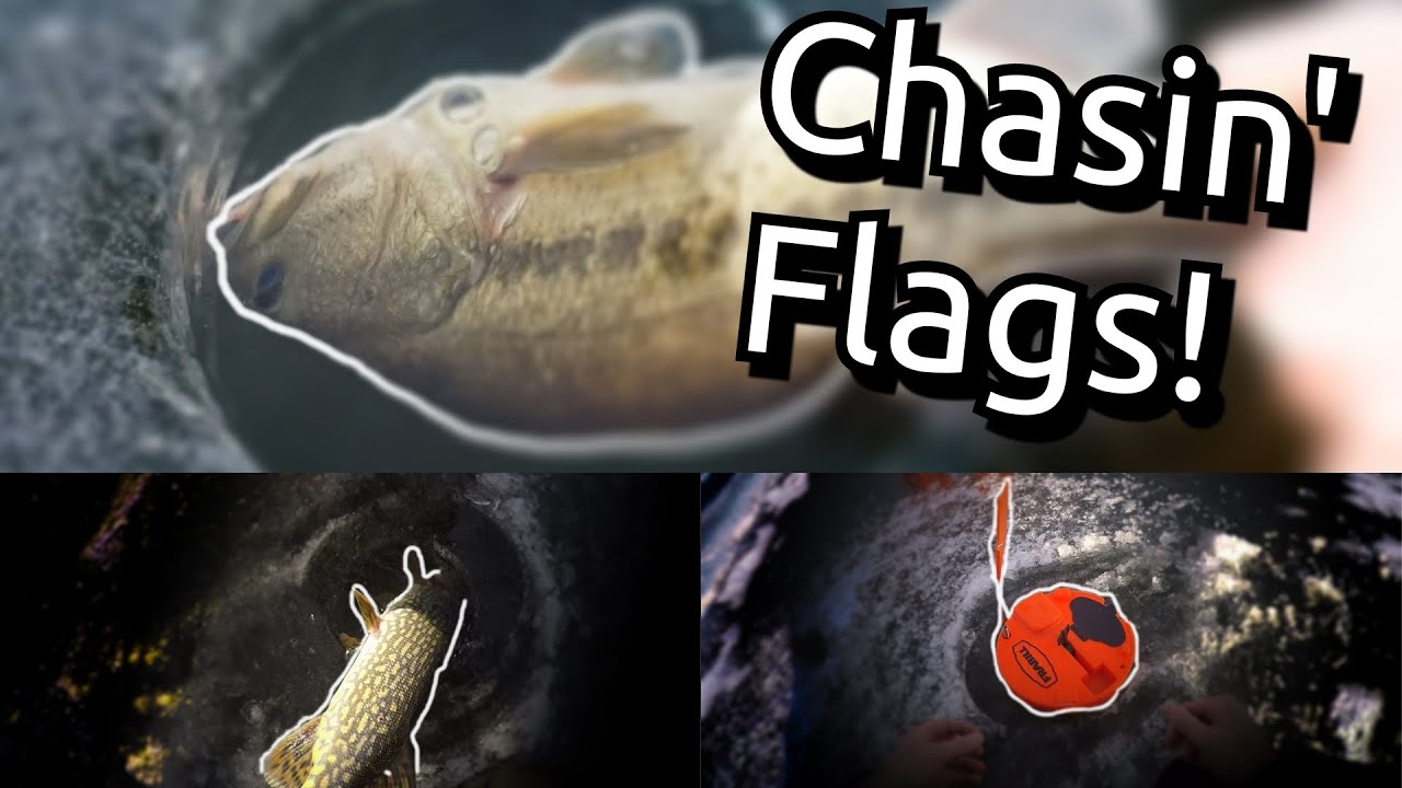 Early Ice Fishing 2020 Minneapolis, Minnesota Bass, Pike, Panfish