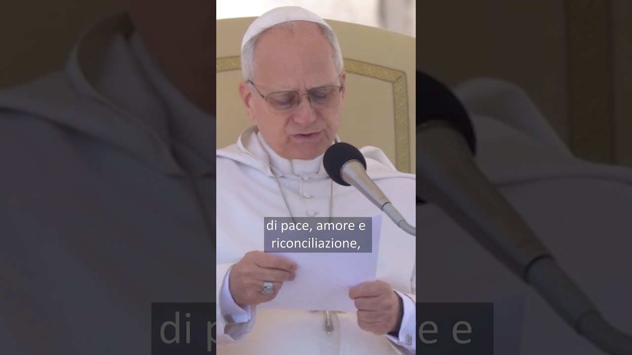 #papaleonexiv Medio Oriente: fermarsi, appello alla pace all’udienza generale #shorts